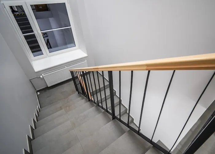 Airport-bus - 13 North - Comfort 7 * Tallinn